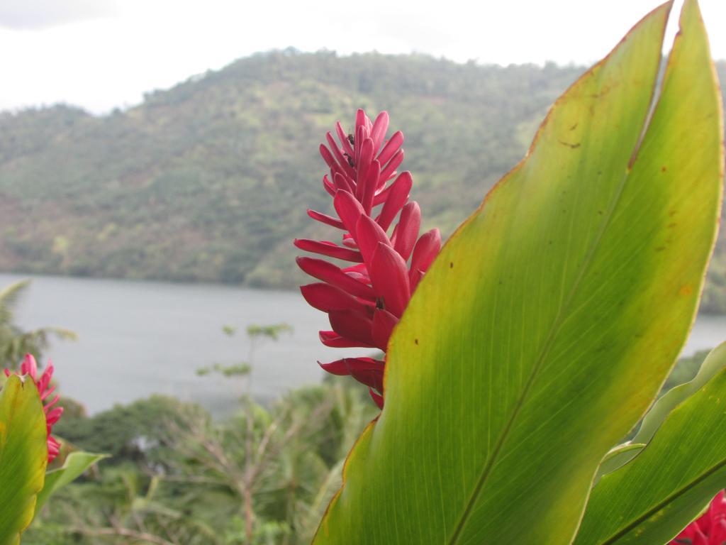 Bamboo Villa Kandy Дігана Екстер'єр фото